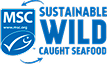 MSC Logo